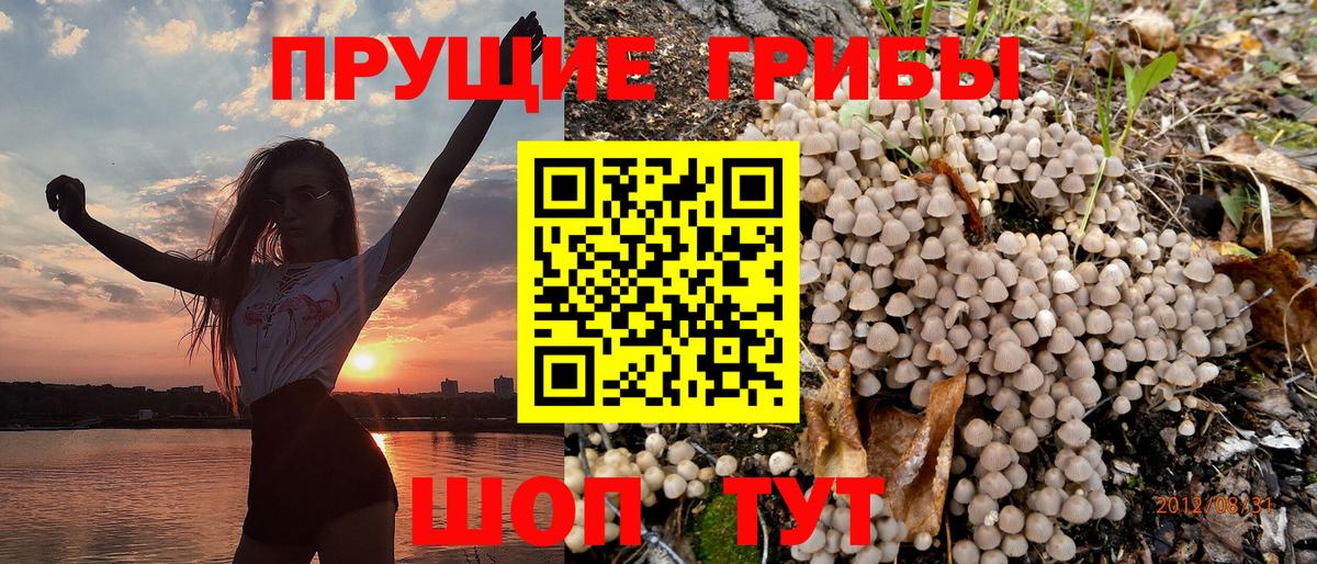 Галлюциногенные грибы Psilocybine cubensis  где продают   Вход с VPN  Михайловск  Псилоцибиновые грибы ЛСД 