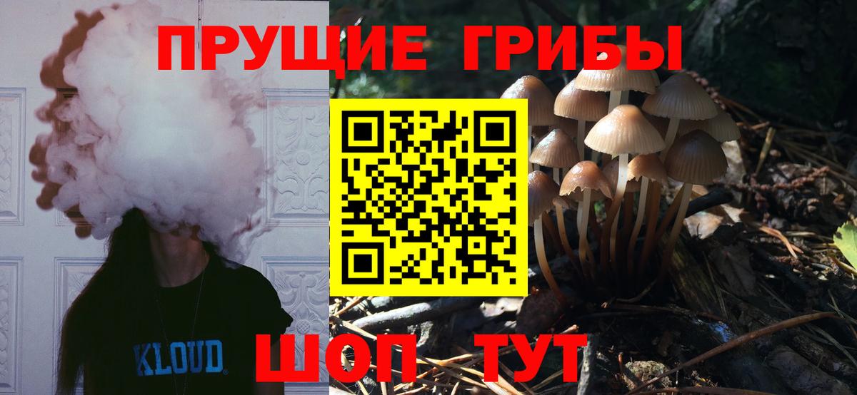Псилоцибиновые грибы Psilocybe Михайловск
