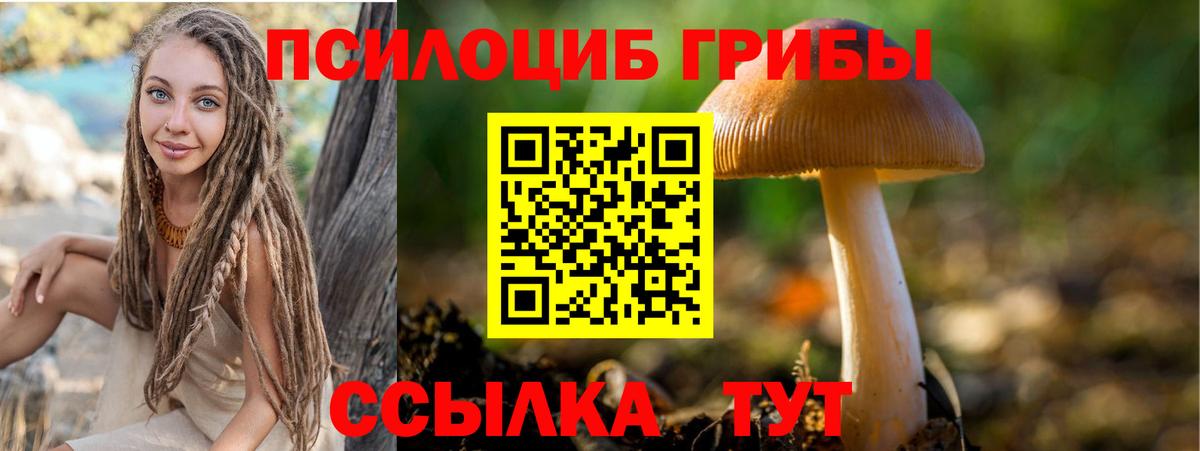 APVP Михайловск